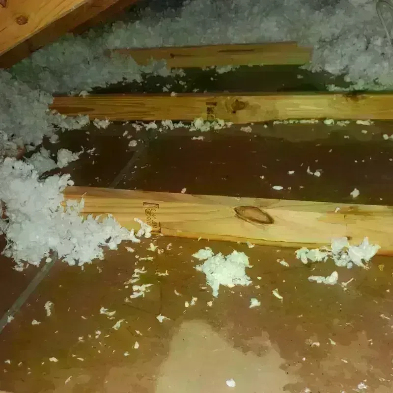 Attic Water Damage in Wethersfield, CT